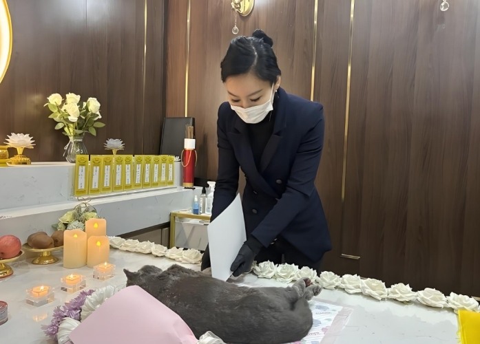 台中寵物火化 台中寵物火化