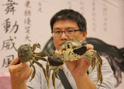 苗栗吃到飽
