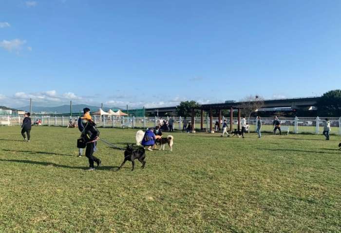 迎風狗運動公園有什麼特色 迎風狗運動公園有什麼特色