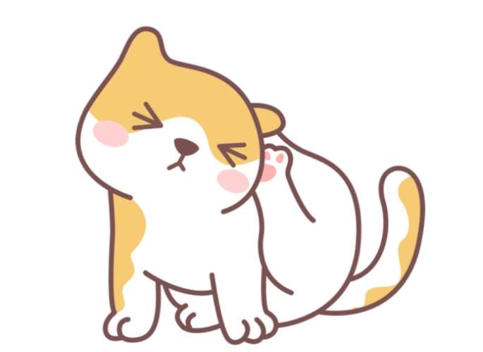 貓癬