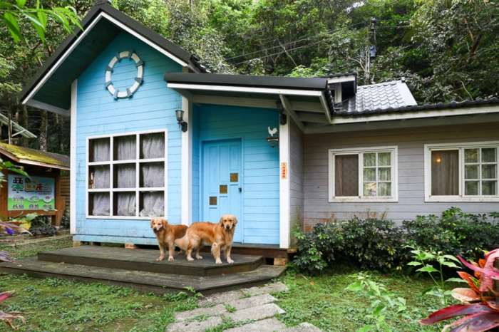 苗栗寵物友善住宿 苗栗寵物友善住宿