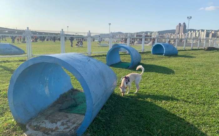 迎風狗運動公園地圖 迎風狗運動公園地圖