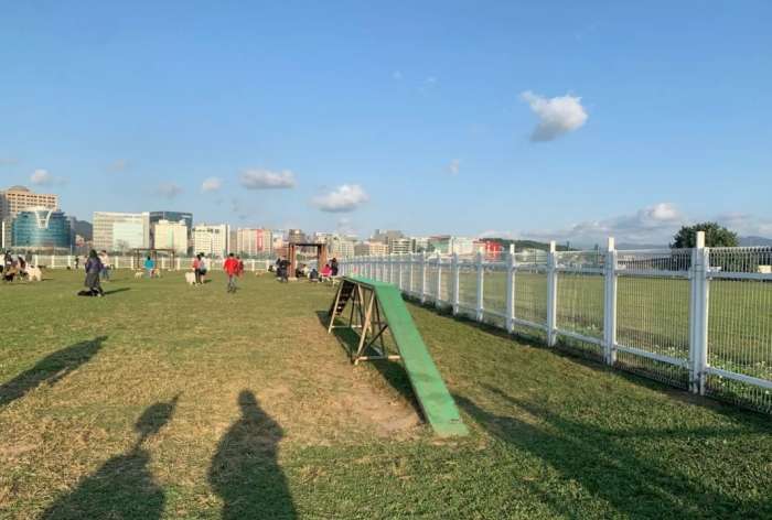 迎風狗運動公園地址 迎風狗運動公園地址
