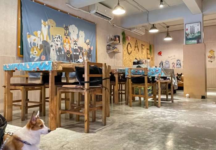 狗狗餐廳 狗狗餐廳