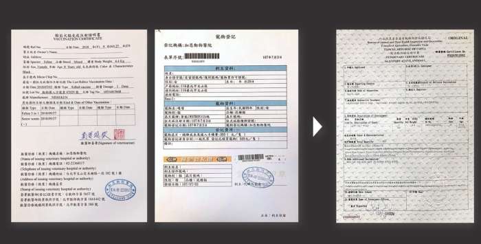 苗栗寵物友善住宿 苗栗寵物友善住宿